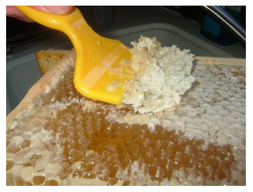 Πως παράγεται το μέλι